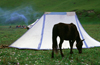 Tibet - white tent and horse - photo by Y.Xu
