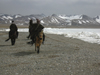 Tibet - Namtso Lake: riders - photo by M.Samper