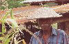 East Timor - Manatuto: village man with traditional hat in his cornfield - farmer (photo by M.Sturges)