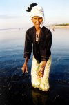 Gathering sea urchins