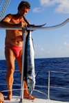 Caribbean Sea: crew member with a Marlin - Istiophoridae - Spearfish - photo by E.Petitalot