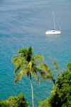 Tobago: a catamaran in a creek - photo by E.Petitalot