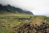 Tristan da Cunha: basic agriculture under the cliffs - photo by C.Breschi