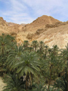 Tunisia - Chebika: mountain oasis (photo by J.Kaman)