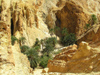 Tunisia - Chebika: a canyon by the mountain oasis II (photo by J.Kaman)