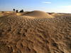 Tunisia - Douz: dunes in the Sahara II (photo by J.Kaman)