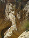 Tunisia / Tunisie - Mides oasis: river and canyon gorge (photo by J.Kaman)