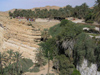 Tunisia / Tunisie - Mides oasis: vegetation (photo by J.Kaman)