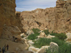 Tunisia - Tamerza: bottom of the canyon (photo by J.Kaman)
