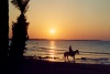 Tunisia - Jerba Island - Ras Taguermes: horse rider at sunset - horseriding - beach - Mediterranean sea (photo by M.Torres)