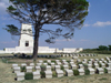 Turkey - Gallipoli / Gelibolu (anakkale province): lone pine in a World War I memorial - photo by R.Wallace