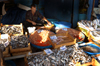 Istanbul, Turkey: fish market - photo by J.Wreford