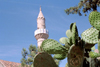 Bodrum - Mugla Province, Aegean region, Turkey: minaret and cactus - St. Peter's castle - photo by M.Bergsma
