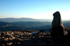 Turkey - Mt Nemrut: view towards the valley - photo by C. le Mire