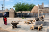 Turkey - Harran: beehive houses - a courtyard / maisons en termitires - photo by C. le Mire