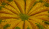 Istanbul, Turkey: Turkish sweets - Havu Dilim Baklava - Ankara Cd - Eminn District - photo by M.Torres