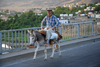 Hasankeyf / Heskif, Batman Province, Southeastern Anatolia, Turkey: an old Kurdish man crosses the bridge on his donkey - Atatrk coined the term Mountain Turks as an euphemism for the Kurdish people - photo by W.Allgwer