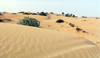 UAE - Al Fujairah: in the desert - dunes - photo by G.Frysinger