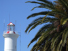 Uruguay - Colonia del Sacramento - Palmtree and lighthouse - photo by M.Bergsma