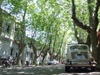 Uruguay - Colonia del Sacramento - Small car, green trees - photo by M.Bergsma