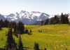 Mount Rainier National Park (Washington - Pacific Northwest region) - photo by P.Willis