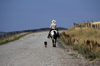 Wyoming, USA: cowboy riding his horse down the road with his dog by his side - photo by C.Lovell