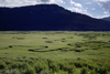 Wyoming, USA: valley floor with winding streams - meanders - photo by C.Lovell