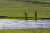 Yellowstone National Park, Wyoming, USA: fly fishing in the Yellowstone River - photo by C.Lovell