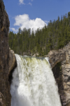 Yellowstone National Park, Wyoming, USA: top of the powerful Lower Yellowstone Falls - 94 m high - Park County - photo by C.Lovell