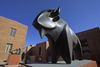 Santa F, New Mexico, USA: sculpture garden with bronze buffalo by Allan Houser - Institute of American Indian Arts Museum - IAIA - photo by C.Lovell