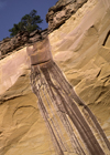 Carson National Forest, New Mexico, USA: runoff has stained the wall of Echo Amphitheater, a natural stone amphitheater near the Chama River - sandstone cliffs - photo by C.Lovell