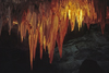 Carlsbad Caverns, Eddy County, New Mexico, USA: stalactites and straws - ceiling detail - photo by C.Lovell