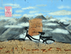 Boise, Idaho, USA: bike and mountains - 'freedom is the feeling of nothing beneath you, yet having no fear of the fall' - graffiti on Freak Alley - photo by M.Torres