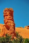 Dixie National Forest, Utah, USA: Red Canyon - pillar of red rock above the tree line - monolith - photo by M.Torres
