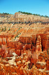 Bryce Canyon National Park, Utah, USA: Sunset Point - cliffs and red hoodoos - photo by M.Torres