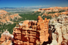 Bryce Canyon National Park, Utah, USA: Sunset Point - looking west - forest and rocks - photo by M.Torres