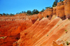 Bryce Canyon National Park, Utah, USA: Sunset Point - limestone becomes sand - view of the canyon's rim - photo by M.Torres
