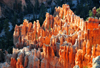 Bryce Canyon National Park, Utah, USA: Bryce Point - tops of hoodoos still in the sun, with the bottom of the valley in the shade - badlands - photo by M.Torres