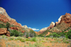 Zion National Park, Utah, USA: meadow at the southern end of the park - photo by M.Torres