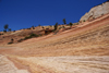 Zion National Park, Utah, USA: ripple marks, along the Zion-Mount Carmel Highway - photo by A.Ferrari