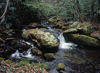 Great Smoky Mountains National Park, Tennessee, USA: stream and boulders in autumn forest - UNESCO World Heritage Site - once Cherokee territory - photo by C.Lovell