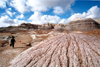USA - Cocoa Mountains (Arizona): dried dirt, dog and sky - Photo by G.Friedman
