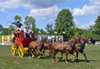 Old Wade House State Park - Sheboygan County (Wisconsin): stage coach - Wild West Show - diligencia - photo by G.Frysinger