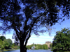 Manhattan (New York City): Lake Harlem - Central Park (photo by M.Bergsma)