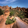 Arches National Park, Utah, USA: rock fins - the surreal landscape of the Devil's Garden - hogbacks - photo by C.Lovell