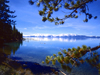 USA - Lake Tahoe (California): view with branches of pine tree and snow covered mountains in background - Sierra Nevada - El Dorado County - photo by J.Fekete