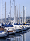 Dana Point - Orange County (California): marina - sail boats in the harbor - photo by J.Fekete