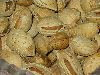 Uzbekistan - Tashkent / Toshkent / TAS: almonds / amendoas / almendras /  Ametller, Prunus dulcis, Manteli (photo by Dalkhat Ediev)