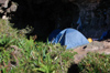 30 Venezuela - Bolivar - Canaima NP - Camping at the top of Roraima - photo by A. Ferrari