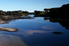 38 Venezuela - Bolivar - Canaima NP - Crystal-clear water at the top of Roraima - photo by A. Ferrari